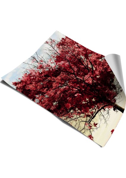 Buzdolabı ve Bulaşık Makinesi Kapak Kendinden Yapışkanlı Sticker Folyo Kalp