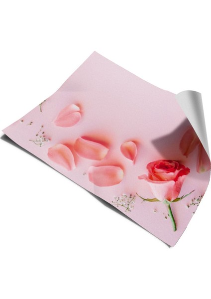 Buzdolabı ve Bulaşık Makinesi Kapak Kendinden Yapışkanlı Sticker Folyo Gül