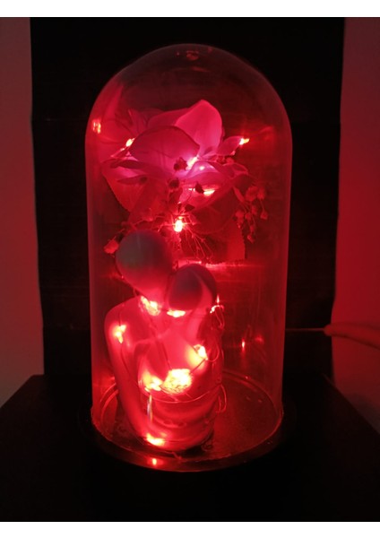 Mutlu Çift Led'li Biblo