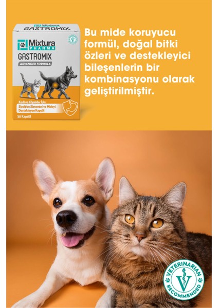 Gastro-Comfort Mide ve Sindiriim Sistemini Destekleyici (Kedi ve Köpek Mide Koruyucu) fiyatları