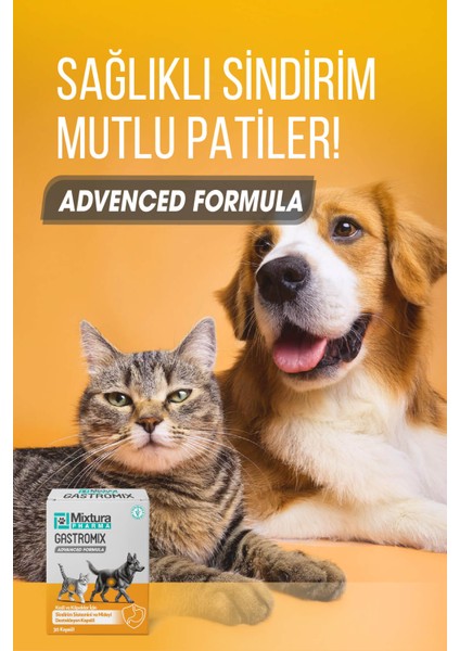 Gastro-Comfort Mide ve Sindiriim Sistemini Destekleyici (Kedi ve Köpek Mide Koruyucu) modelleri