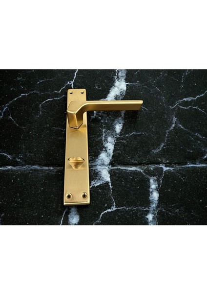 Zey Mat Altın Aynalı Wc Banyo Kapı Kolu Içeriden Sağ Basar 1 Takım fırsatları