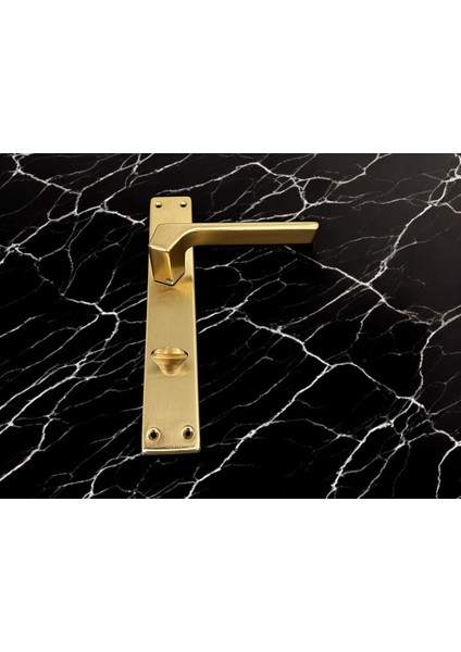 Zey Mat Altın Aynalı Wc Banyo Kapı Kolu Içeriden Sağ Basar 1 Takım indirimleri