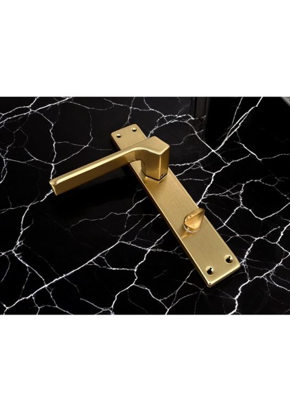 Zey Mat Altın Aynalı Wc Banyo Kapı Kolu Içeriden Sol Basar 1 Takım modelleri