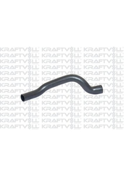 10030632 Radyatör Alt Hortumu R8 7704001279