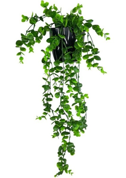 Yapay Çiçek Saksıda Sarkan Şimşir Okaliptus Yapay Sarmaşık 56 cm Siyah Saksıda