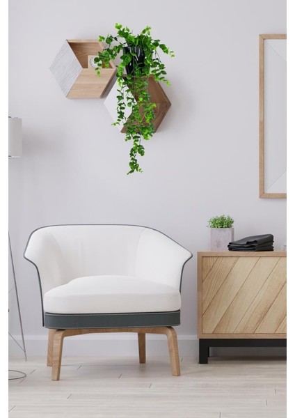 Yapay Çiçek Saksıda Sarkan Şimşir Okaliptus Yapay Sarmaşık 56 cm Siyah Saksıda