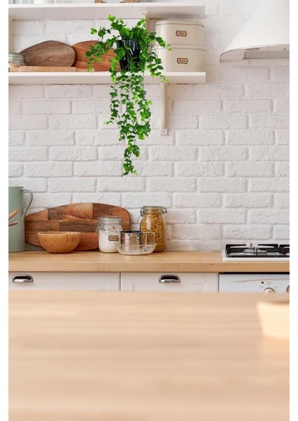 Yapay Çiçek Saksıda Sarkan Şimşir Okaliptus Yapay Sarmaşık 56 cm Siyah Saksıda