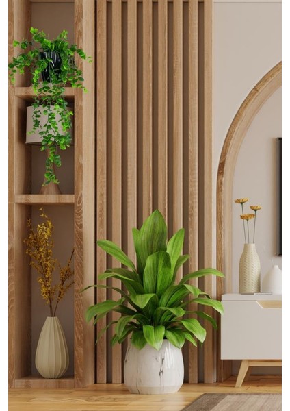 Yapay Çiçek Saksıda Sarkan Şimşir Okaliptus Yapay Sarmaşık 56 cm Siyah Saksıda