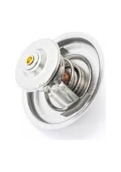 Mahle-Knecht-Behr TI24483D Termostat Keçeli Eos Golf V Vı Jetta Passat Polo Tiguan A3 Ibiza Leon Yeti Caxa Caxc Cmsa Cnva 03C121110K