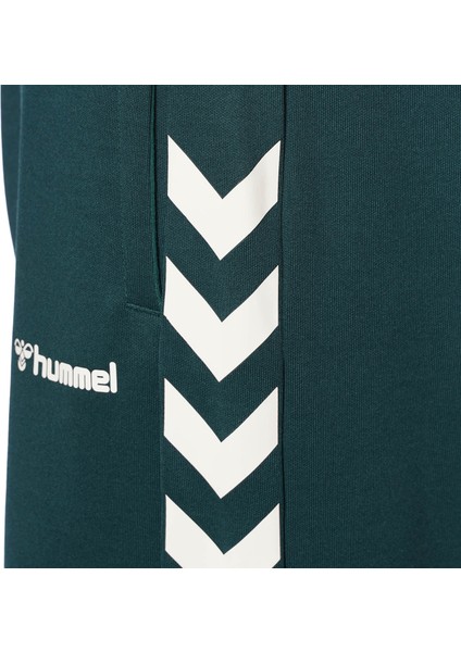 Falconzo Şort fırsatları