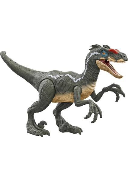 Epic Attack Velociraptor HNC11