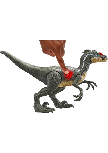 Epic Attack Velociraptor HNC11