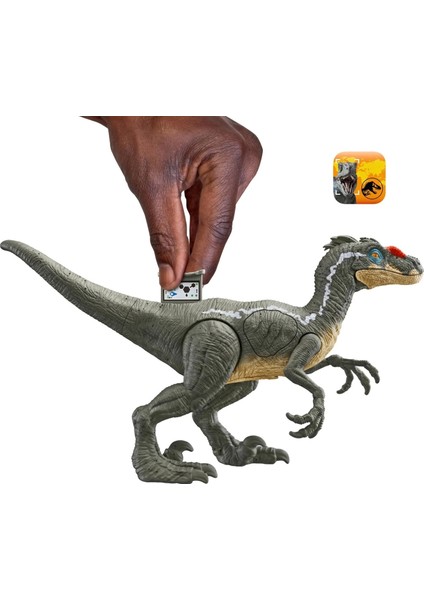 Epic Attack Velociraptor HNC11