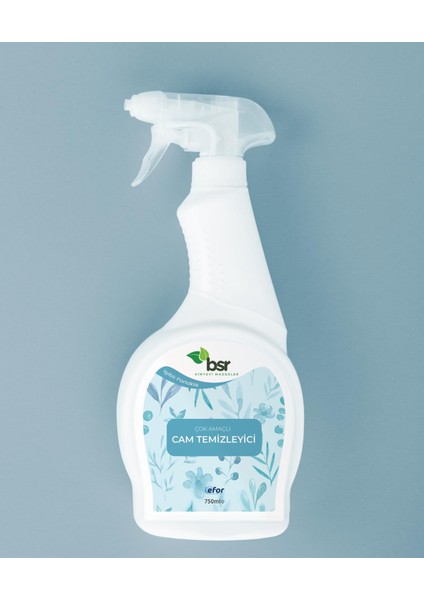 Cam Temizleme Maddesi 750 ml