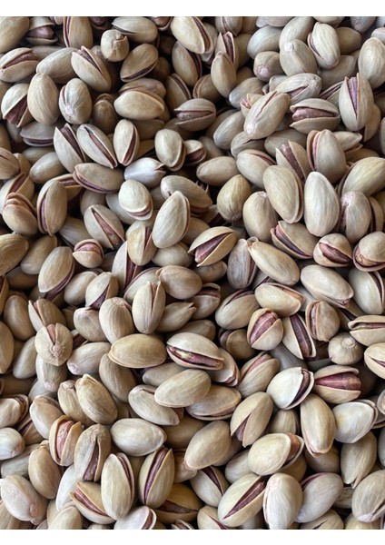 Kavrulmuş Kabuklu Siirt Fıstığı 400 gr fiyatları