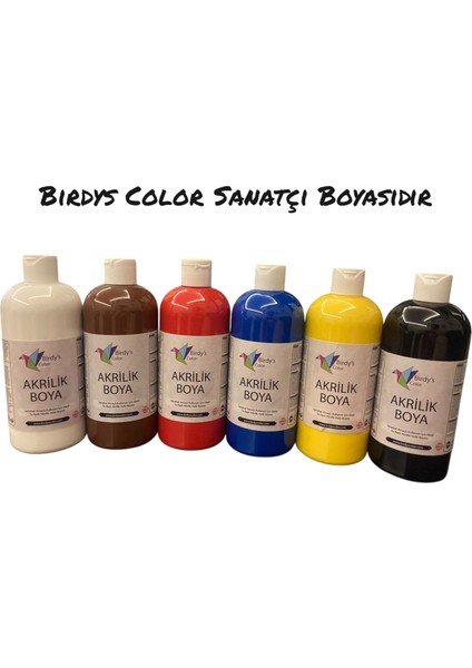 Birdy's Color Akrilik Boya 6'lı Set 6X500GR - Ana Renkler