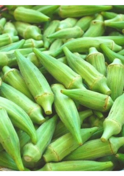 Sultani Bamya Tohumu 25 gr Tohum Aksaray Tohumculuk