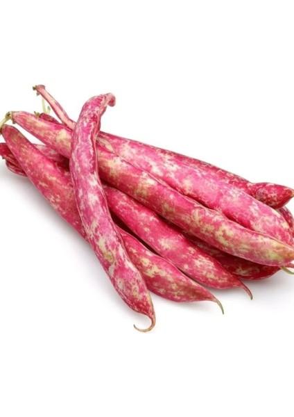 Doğal Barbunya Tohumu 12 Adet Tohum Aksaray Tohumculuk