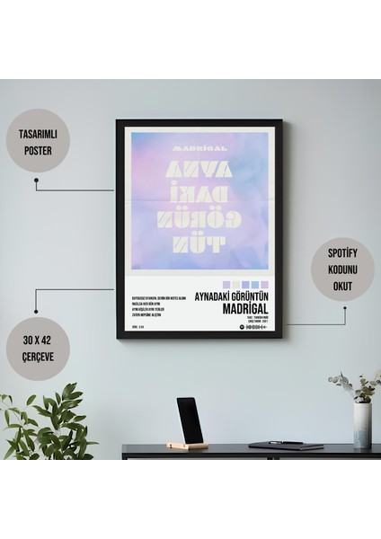 Madrigal - Aynadaki Görüntün Spotify Çerçeveli Poster Tablo