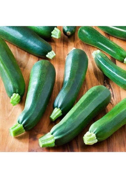 Standart Kara Kabak Tohumu 5 gr Tohum Aksaray Tohumculuk