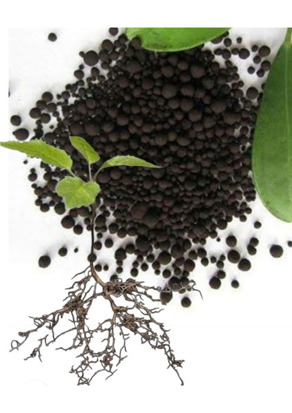 Hobi Bahçe Leonardit Humic Fulvic Asit Granül Gübre Taban - Toprak Hazırlığı 2kg