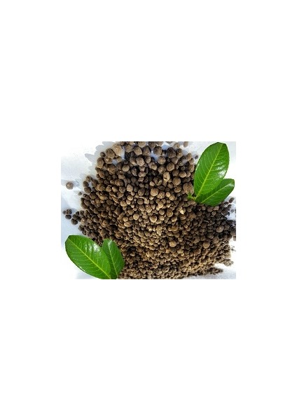 Hobi Bahçe Leonardit Humic Fulvic Asit Granül Gübre Taban - Toprak Hazırlığı 2kg