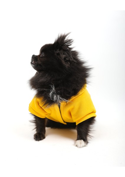 Cool Yellow Sweatshirt