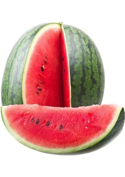 Standart Karpuz Tohumu 10 gr Tohum Aksaray Tohumculuk