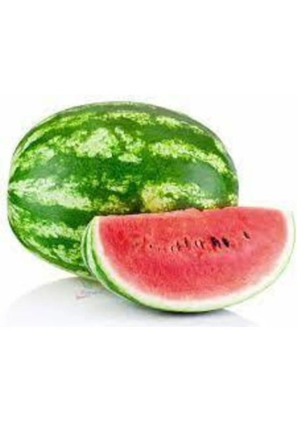 Karpuz Tohumu 100 gr Tohum Aksaray Tohumculuk