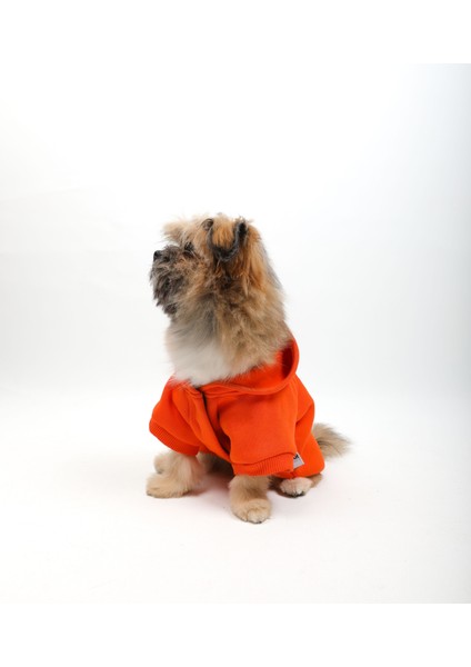 Happy Hour Sweatshirt