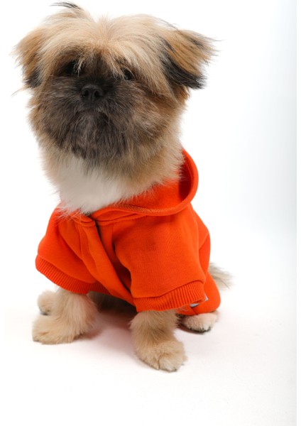 Happy Hour Sweatshirt