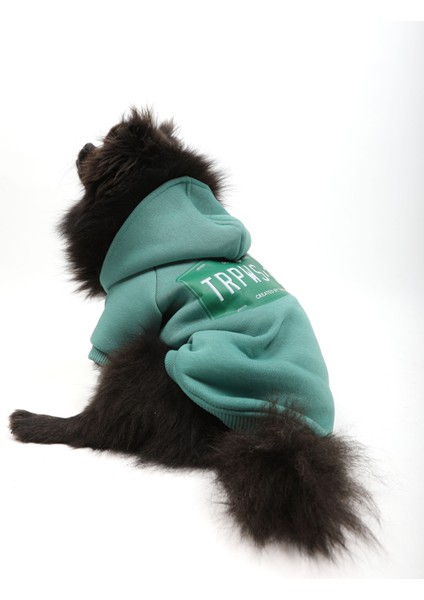 TRPWS34 Sweatshirt modelleri