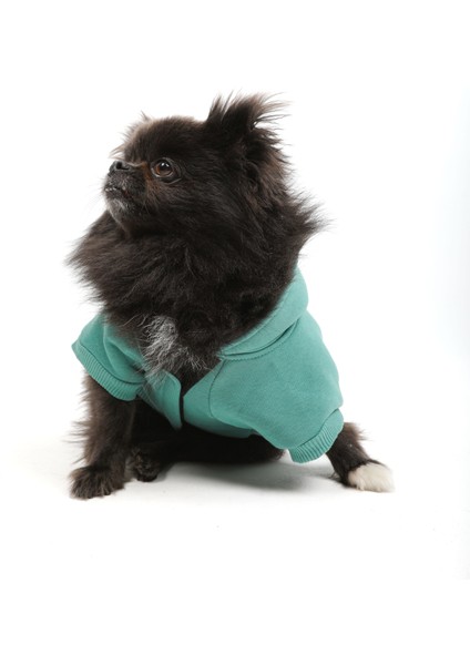 TRPWS34 Sweatshirt