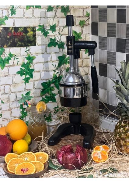 Sanayi Tipi Narenciye Sıkacağı fiyatları