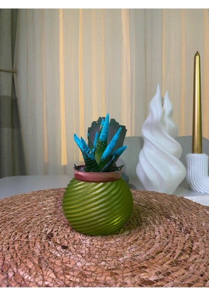 Dekoratif Saksı fiyatları