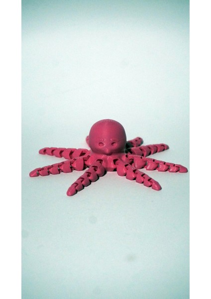 Eklemli Pembe Ahtapot