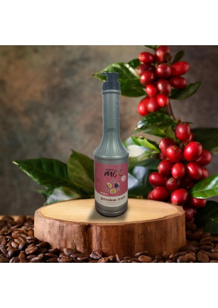 Çarkıfelek Meyve Püresi 1150 gr