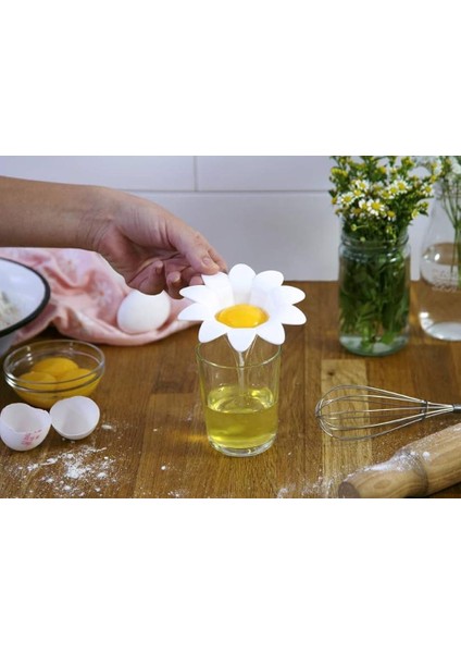 Yumurta Akıcı Ayırıcı