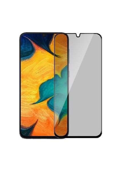 Samsung Galaxy A30 Haylet Davin 5d Privacy Ekran Koruyucu Kırılmaz Cam
