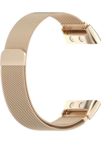 Garmin Forerunner 45 Için Milanese Kordonlu Saat Garmin Forerunner 45 / 45S Için (Yurt Dışından) fiyatları