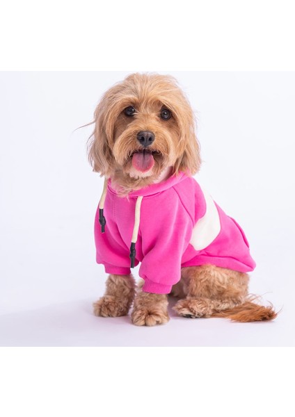 Pembe Cute Hoodie Küçük ve Orta Irk modelleri