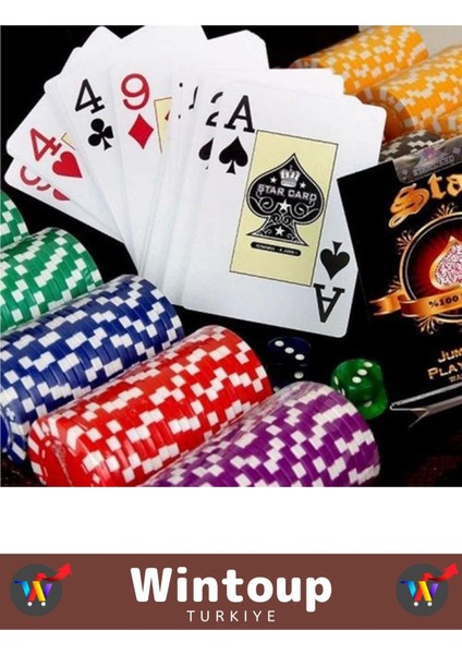 Kilit Sistemli Suni Deri Çantalı 300 Çip Çift Desteli Blackjack Texas Holdem Casino Poker