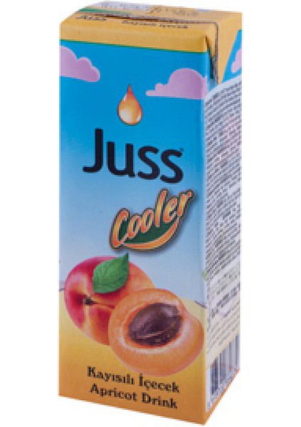 Cooler Kayısı Meyveli Içecek (27Adet x 200ml)