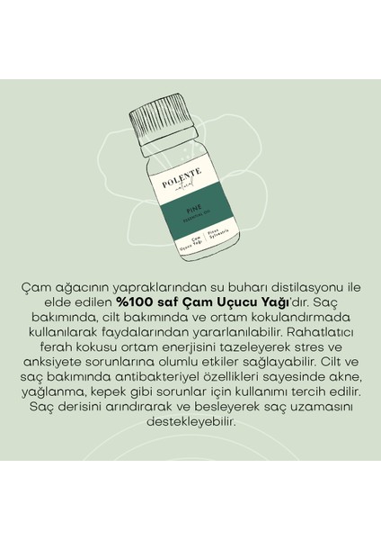 Çam Uçucu Yağı (10 ml)