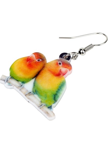 Akrilik Tatlı Afrika Fischer'in Sevgili Papağan Küpe Asılı Bırak Yenilik Hayvan Takı Kadın Kızlar Hediye Şansları (Yurt Dışından) indirimleri