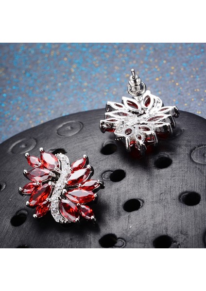 Kadınlar Için Gelinlik Düğün Küpe Gümüş Charm Küpe Tokaları (Yurt Dışından) fırsatları