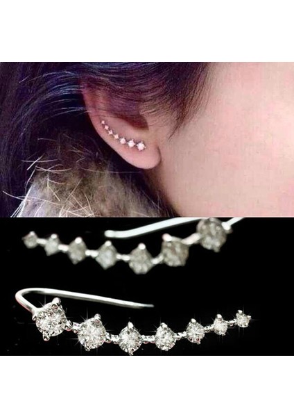 No.3 Boyutu Wometerling Gümüş Topazlı Delikli Küpe Küpe Takıları (Yurt Dışından) fiyatları