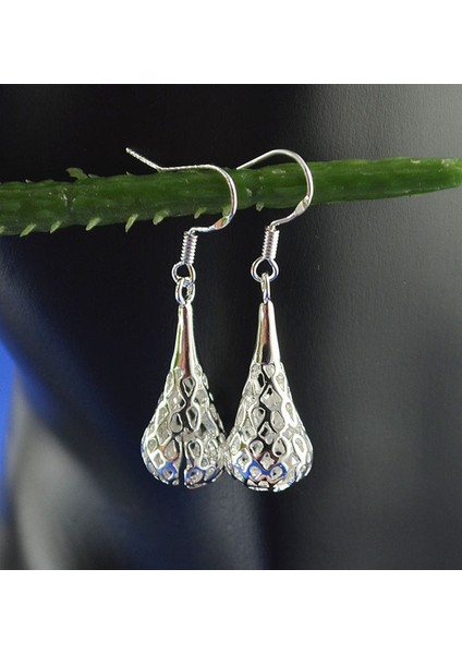 Şık Gümüş Moda Avize Sallantılı Küpe Damlası (Yurt Dışından) fiyatları