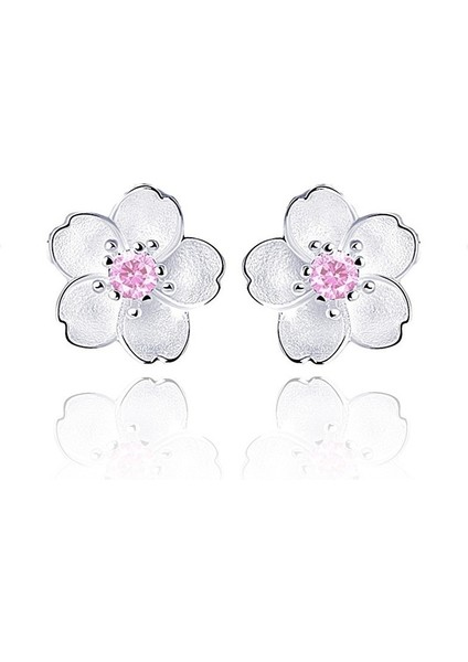 Pembe Tarzı Yeni Kadın Bayan Küpe Zarif Gümüş Küpe Küpe 3 Renk - Çift (Yurt Dışından) fiyatları